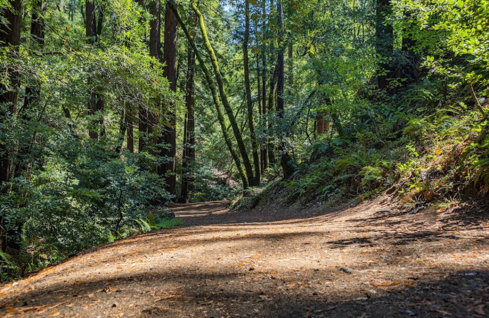 Bekijk deze 5 redenen voor een vakantie op de Veluwe