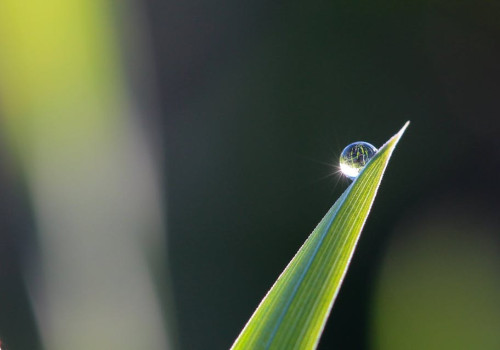 Kunstgras kopen, voor een groene en strakke tuin