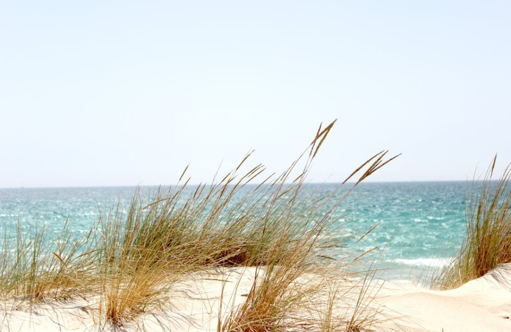 Ken jij het eiland Sylt in Duitsland?